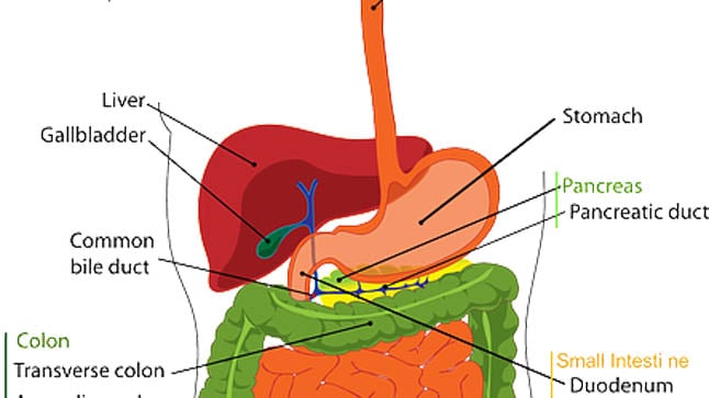 Causas, síntomas y tratamiento de los insulinomas