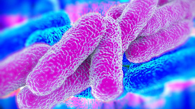 ¿Cuál es el pronóstico de la Legionella?