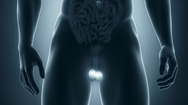 ¿Cómo se diagnostica la torsión testicular?