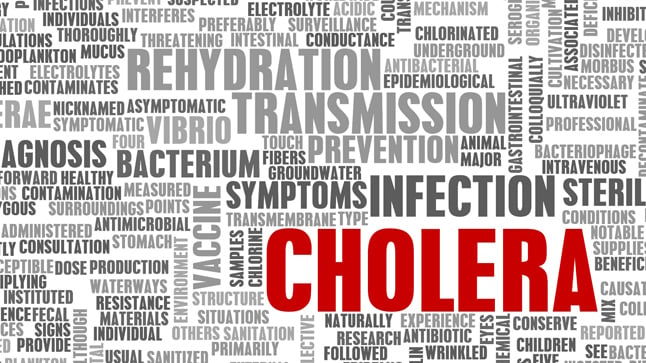 vacuna del cólera