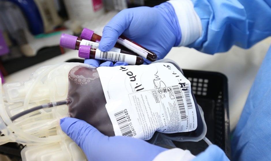 Cada cuánto se puede donar sangre