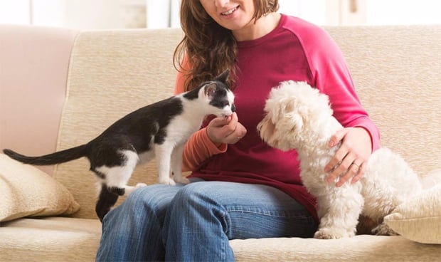 ¿Pueden los perros o gatos contagiar el coronavirus?